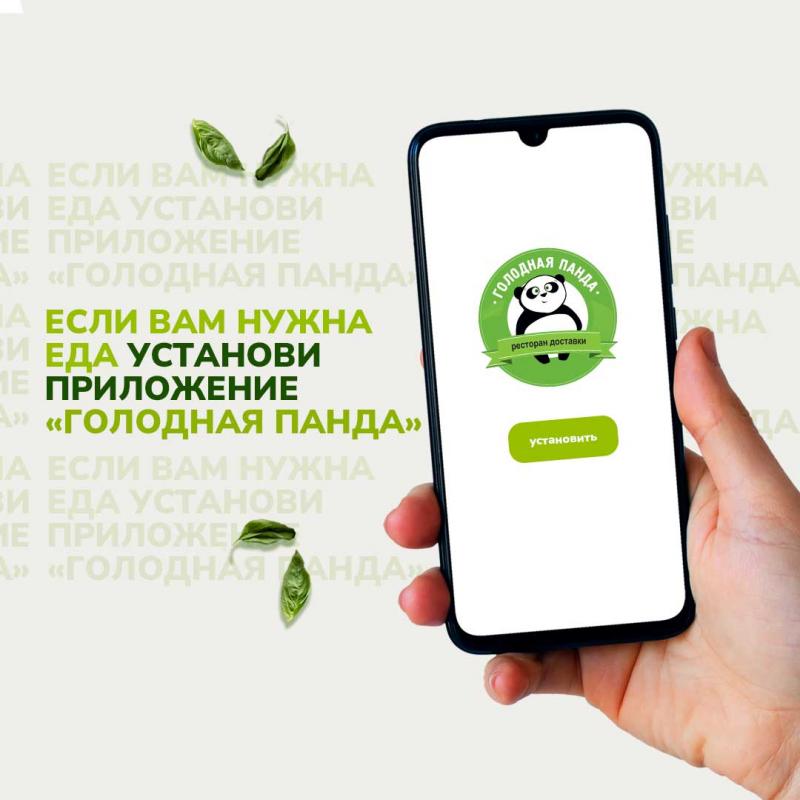Слайд Голодной Панды